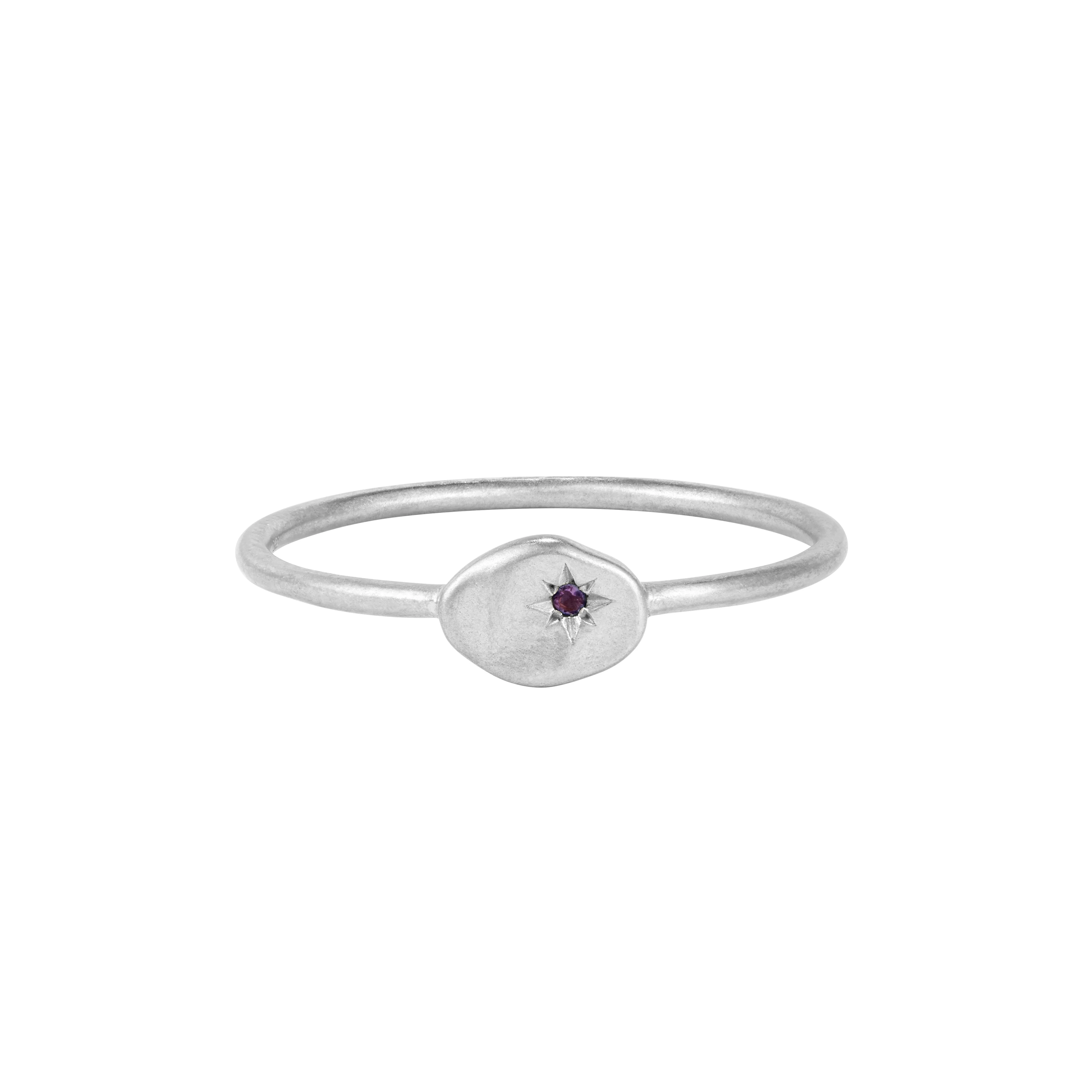 RION x Buddha Jewelry North Star Finger Ring with Amethyst - Image 2